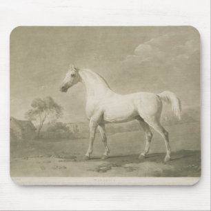 Mambrino, after George Stubbs, 1788 (mezzotint) Mouse Pad