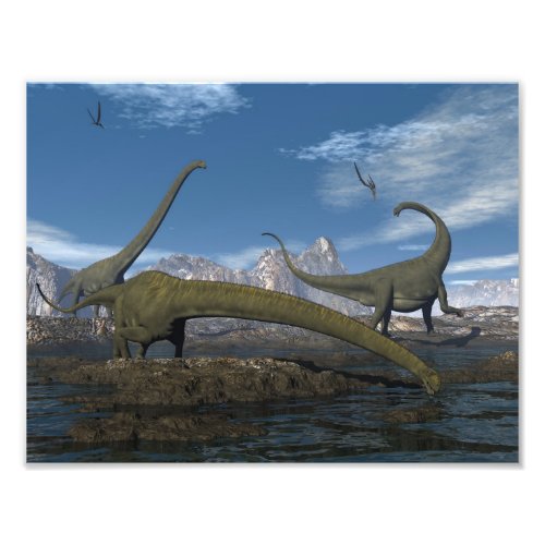 Mamenchisaurus dinosaurs herd _ 3D render Photo Print
