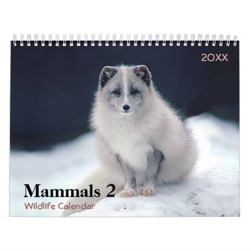 Mammals 2 Wildlife 2021 Calendar