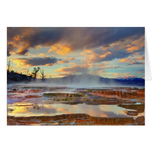 Mammoth Hot Springs Cards (Front Horizontal)