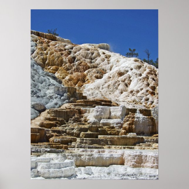Mammoth Hot Springs Poster (Front)