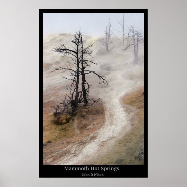 Mammoth Hot Springs  Poster (Front)