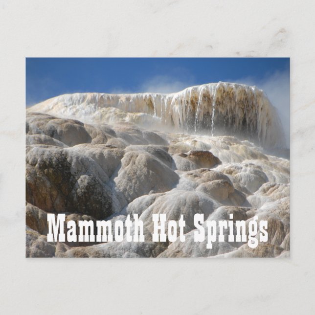 Mammoth Hot Springs, Yellowstone National Park Postcard (Front)