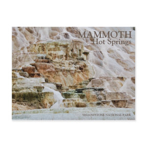 MAMMOTH HOT SPRINGS, YELLOWSTONE NATIONAL PARK, WY POSTCARD