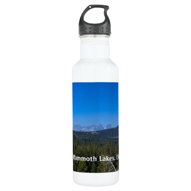 Mammoth Lakes 2 Stainless Steel Water Bottle (Front)