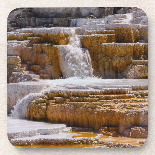 Mammoth Springs Falls Beverage Coaster (Front)