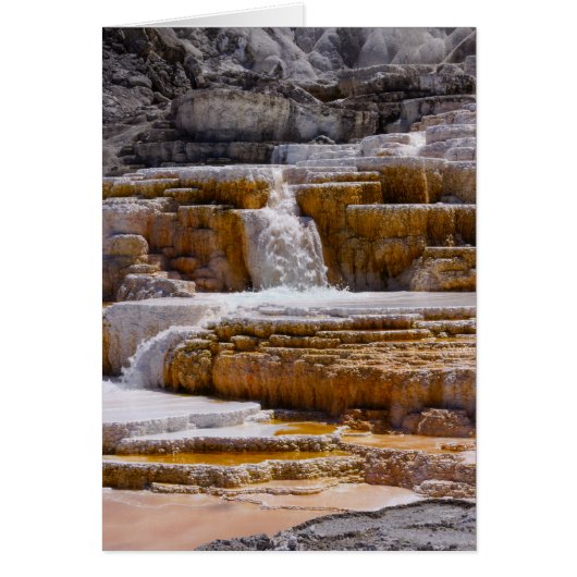 Mammoth Springs Falls Cards (Front)