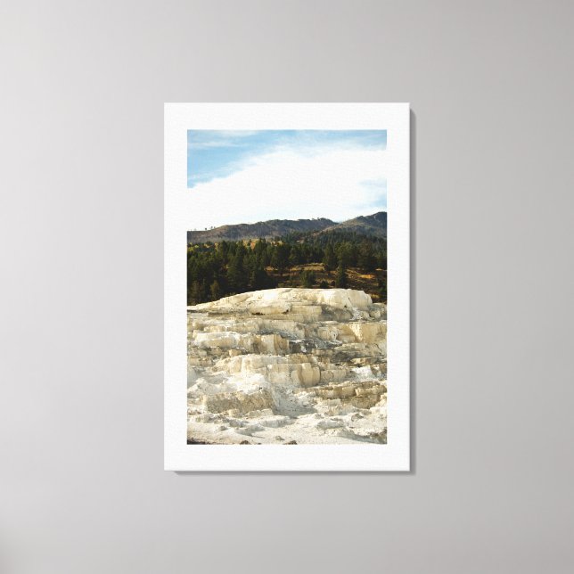 Mammoth Steps 2008 Canvas Print (Front)