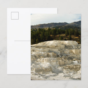 Mammoth Steps 2008 Postcard