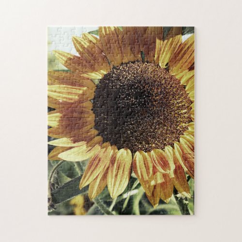 Mammoth Sunflower Photograph Jigsaw Puzzle