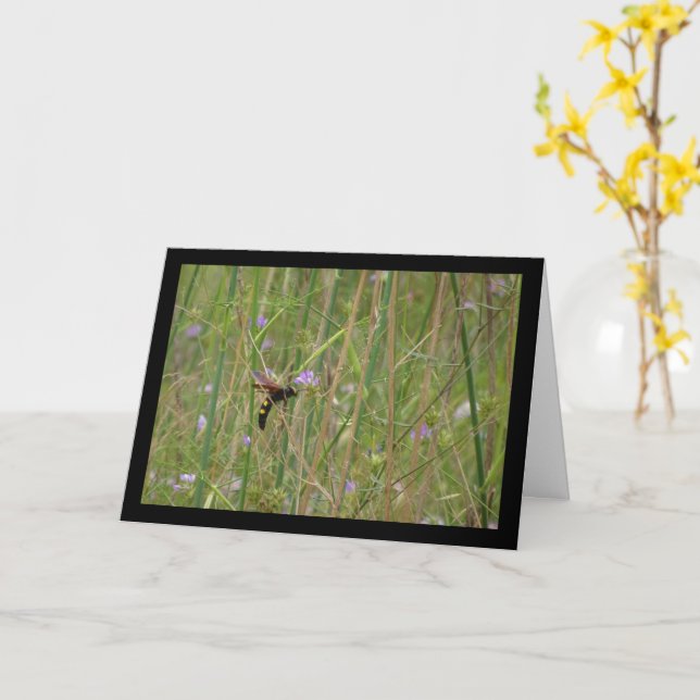 Mammoth Wasp in Flight Card (Yellow Flower)