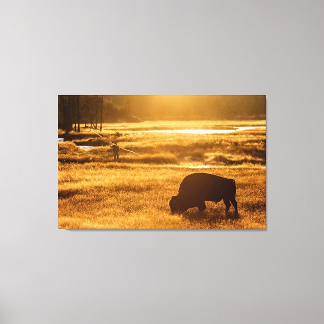 Man and Beast Canvas Print (Front)