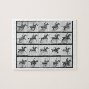 Man and horse jumping a fence, plate 640 from 'Ani Jigsaw Puzzle