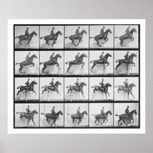Man and horse jumping a fence plate 640 from Ani Poster