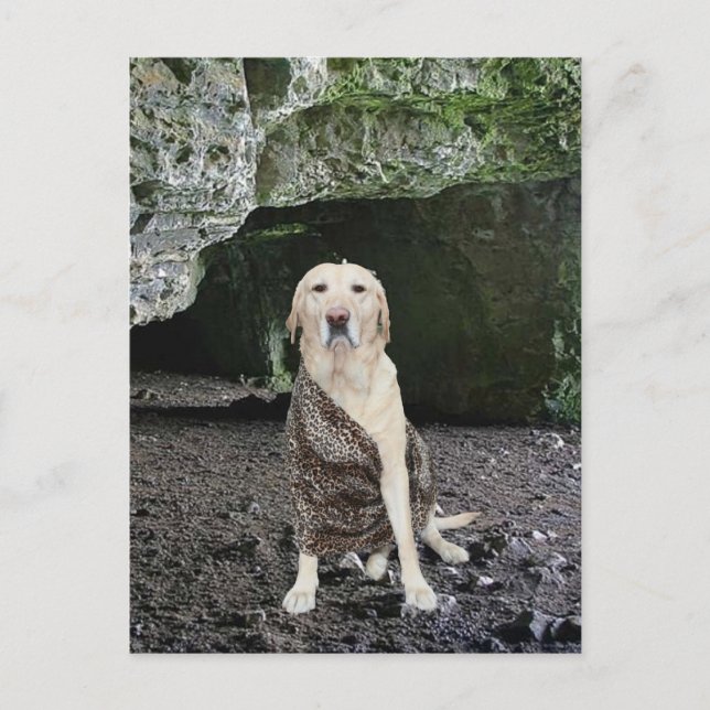 Man Cave Invitation Postcard (Front)