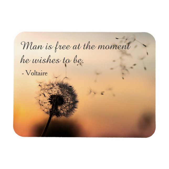 Man is Free Voltaire Quote Magnet (Horizontal)