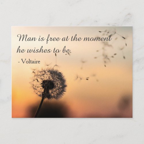 Man is Free Voltaire Quote Postcard