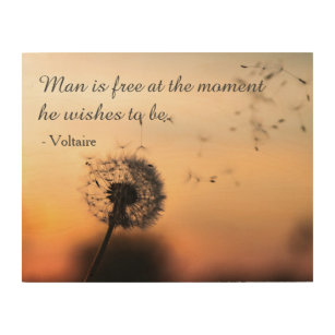 Man is Free Voltaire Quote Wood Wall Art