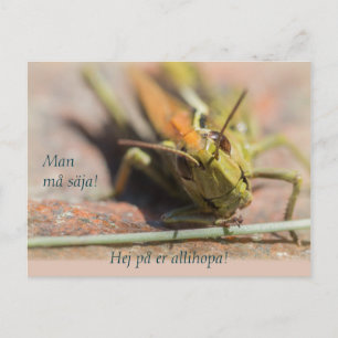 Man må säja! Gräshoppa med personlighet CC0775 Postcard