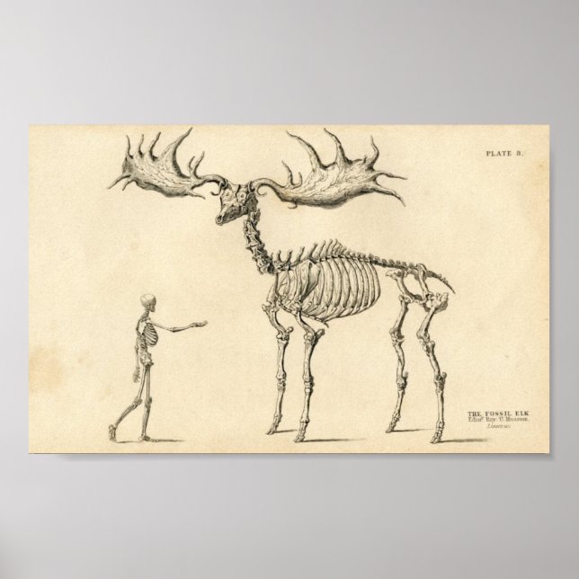 Man & Moose Vintage Poster (Front)