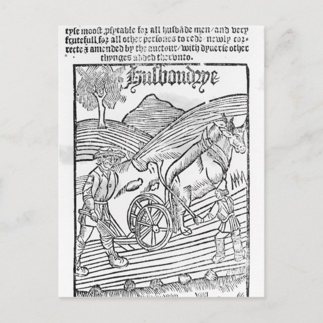 Man Ploughing a Field Postcard (Front)