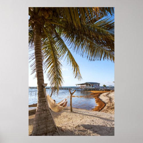 Man Relaxing In A Hammock Under Palm Tree Belize Poster