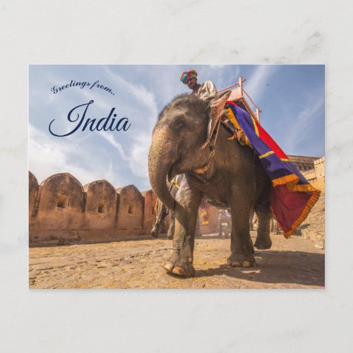 Man Riding Elephant At Amber Palace Jaipur India Postcard
