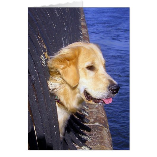 MAN..... WISH I KNEW HOW TO SWIM! (Front)