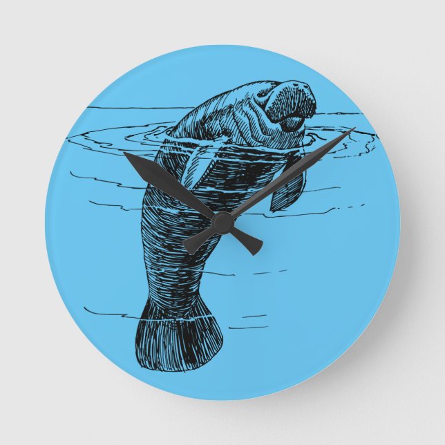 Manatee acrylic wall clock (Front)