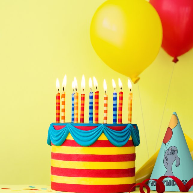 Manatee and Balloons Custom Birthday Party Party Hat (Creator Uploaded)