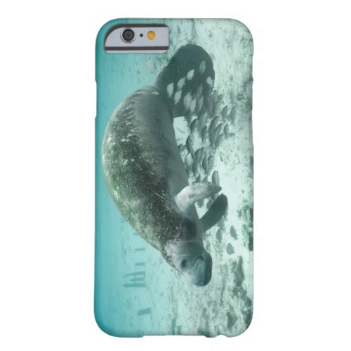Manatee and Fish Barely There iPhone 6 Case