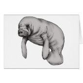 manatee art (Front Horizontal)