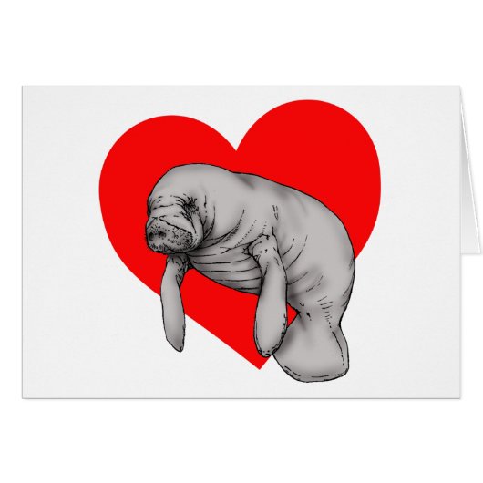 manatee art cards (Front Horizontal)