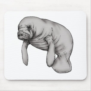 manatee art mouse pad
