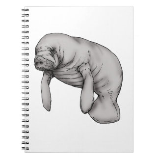 manatee art notebook