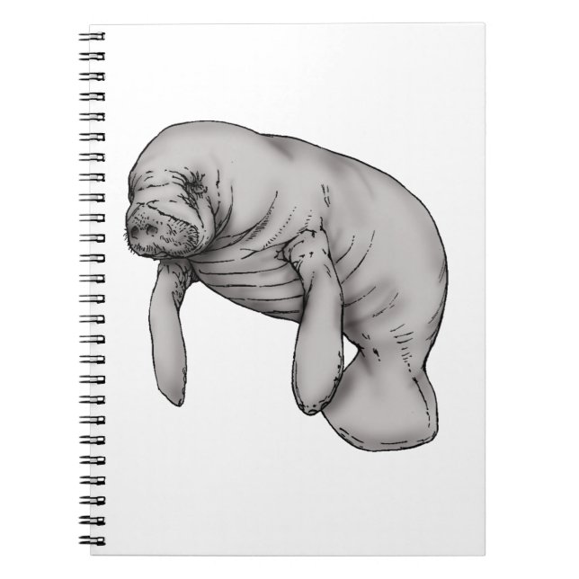 manatee art notebook (Front)