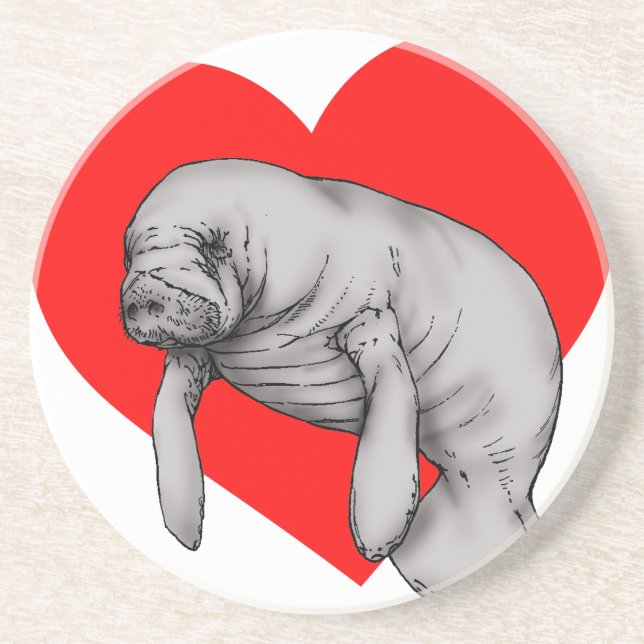 manatee art sandstone coaster (Front)