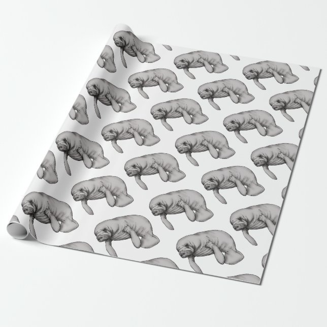 manatee art wrapping paper (Unrolled)