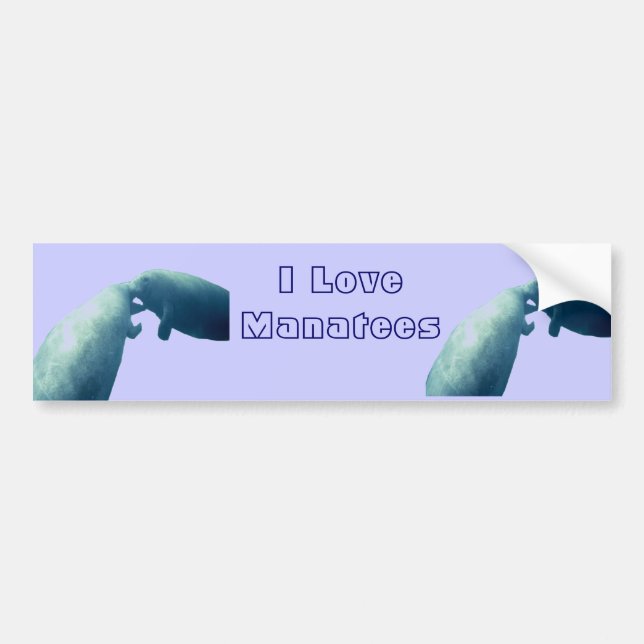 Manatee Bumper Sticker (Front)
