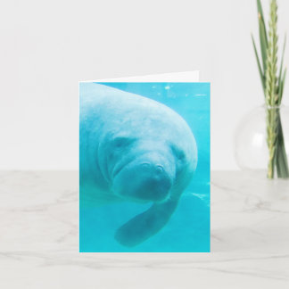 Manatee Digital Art "oh hi" Card