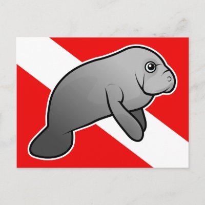 Manatee Dive Flag Postcard