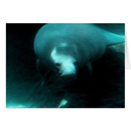 Manatee Dreams Cards (Front Horizontal)