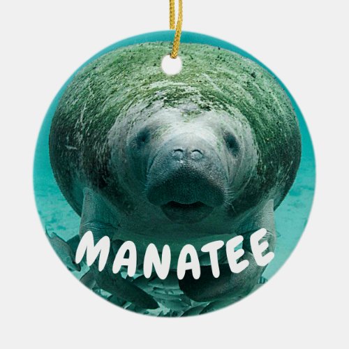 Manatee face photo ceramic ornament