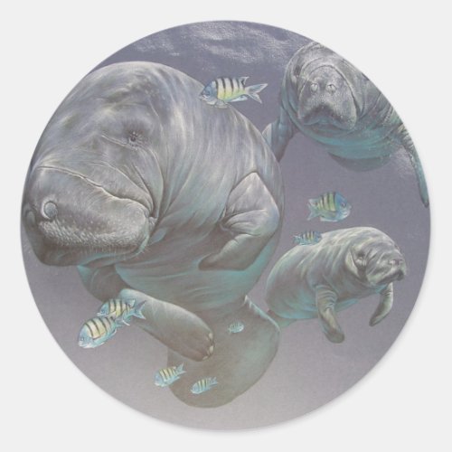 Manatee Family Classic Round Sticker