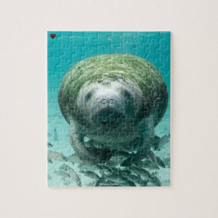 Manatee Florida Jigsaw Puzzle