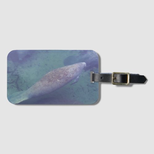 Manatee Florida Swimming Photo Cute Luggage Tag