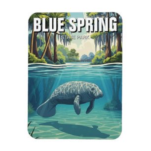 Manatee in Blue Spring State Park Magnet