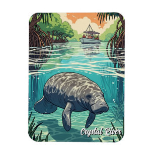 Manatee in Crystal River Florida Magnet