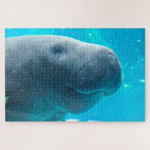 Manatee Jigsaw Puzzle