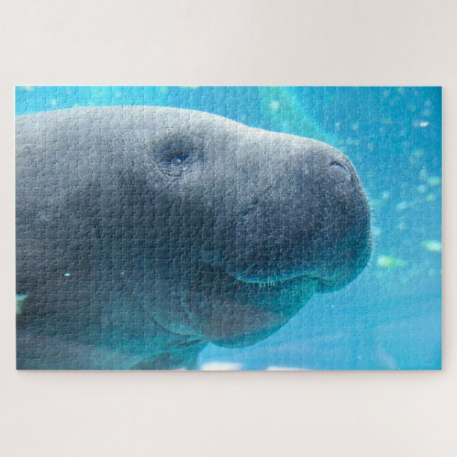 Manatee Jigsaw Puzzle (Horizontal)